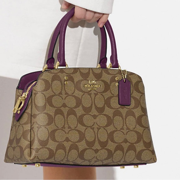 NWT Coach Minnie carryall - Picture 14 of 14